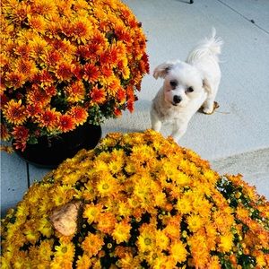 Meet your Posher, Lesa